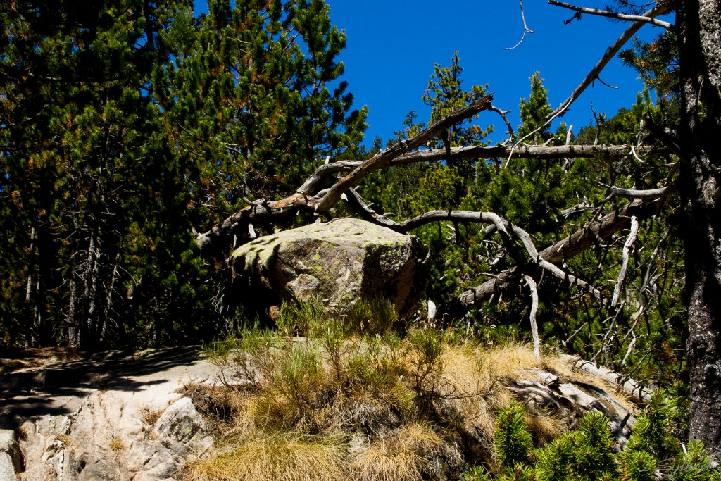 Sentier vers le refuge de la balmeta (66)_GIL4475.JPG